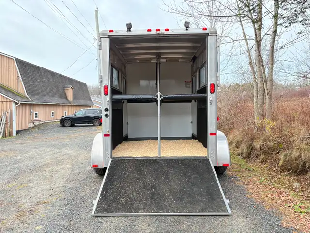 Horse Trailering in Horses & Ponies for Rehoming in Bedford - Image 6