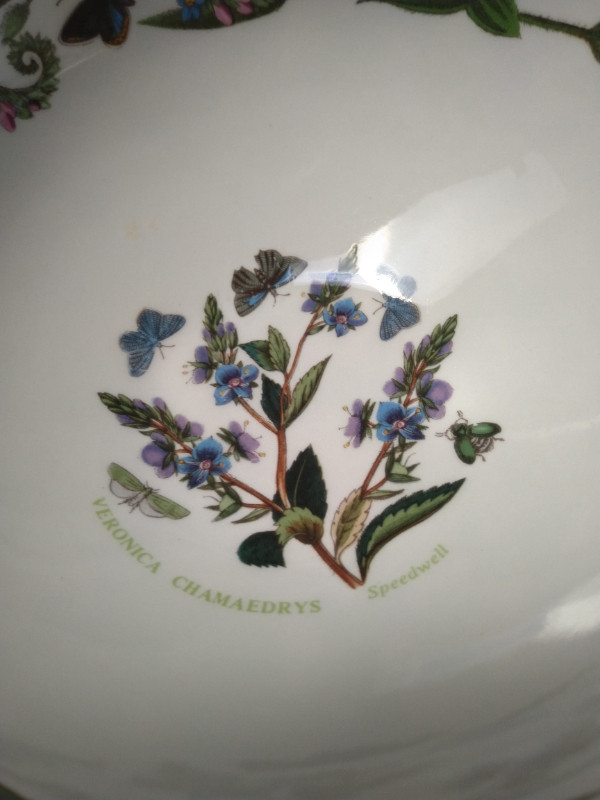 Portmeirion Botanic Garden Serving bowl in Kitchen & Dining Wares in Oakville / Halton Region - Image 4