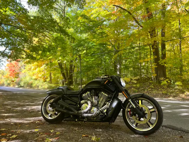 Harley Davidson V-rod Vrod muscle 2015 in Street, Cruisers & Choppers in Cambridge - Image 8