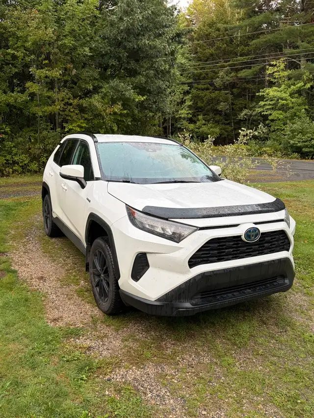 2021 Toyota Rav 4 le hybrid