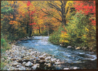 Eurographics Forest Stream 1000-piece jigsaw puzzle / casse-tete