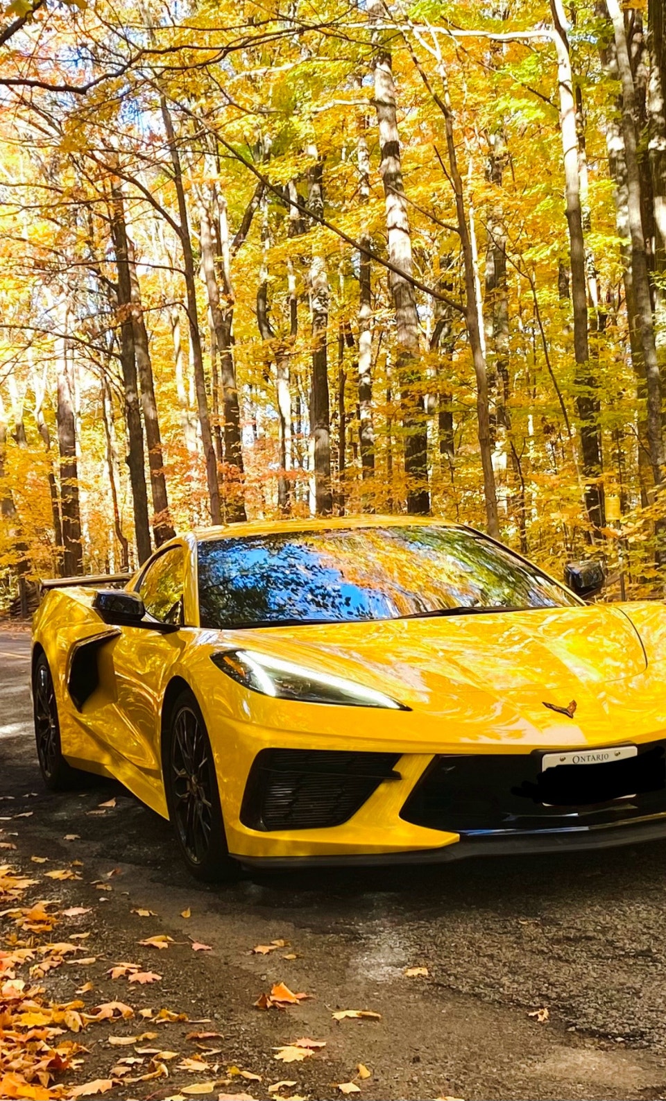 Chevrolet Corvette Stingray 2025 photo 2