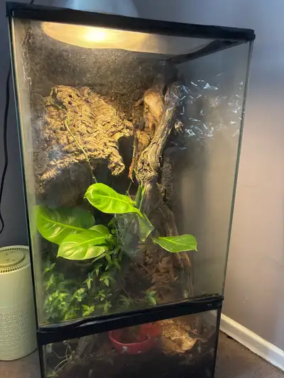 reptile terrarium, View more