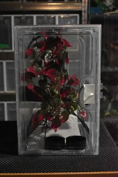 Crested Gecko Enclosures, View more