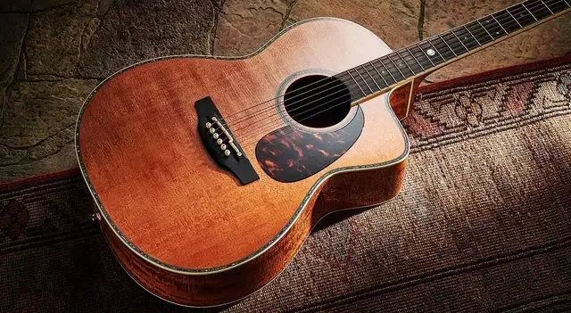Takamine LTD 60th Anniversary in Guitars in Calgary - Image 6