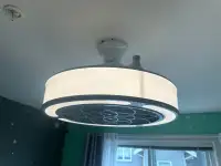 Windara 22-inch Indoor/Outdoor Brushed Nickel Ceiling Fan with D