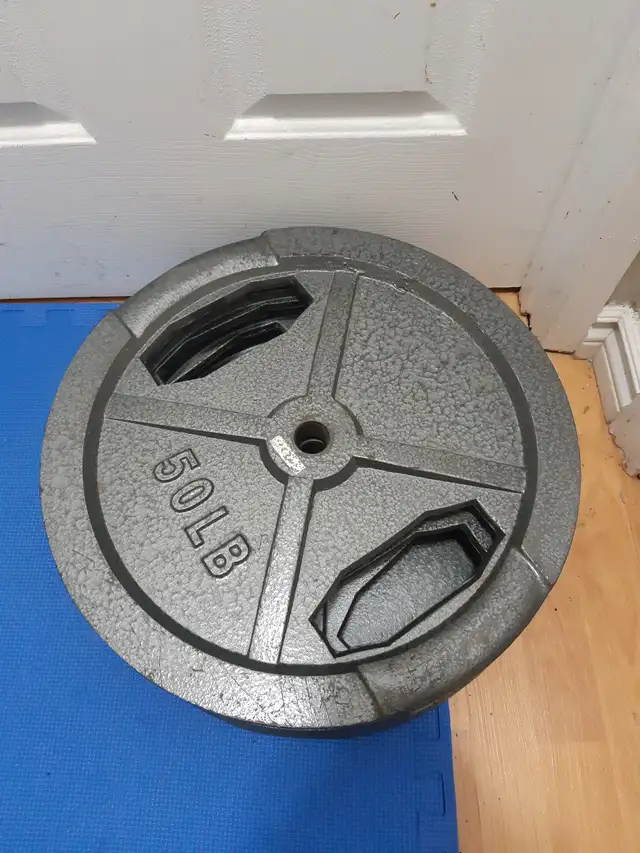 standard weight plates w/ handles ($1.45/lbs) in Exercise Equipment in Delta/Surrey/Langley - Image 7