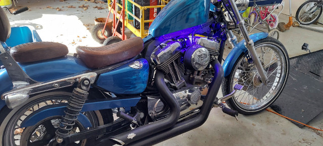 Custom Sportster in Street, Cruisers & Choppers in Oshawa / Durham Region