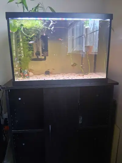 aquarium and stand , View more