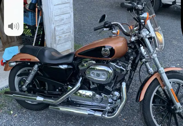 2008 Harley Davidson Sportster 1200 in Sport Touring in Napanee - Image 7