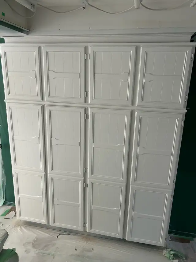 Professional painter65669420946818123