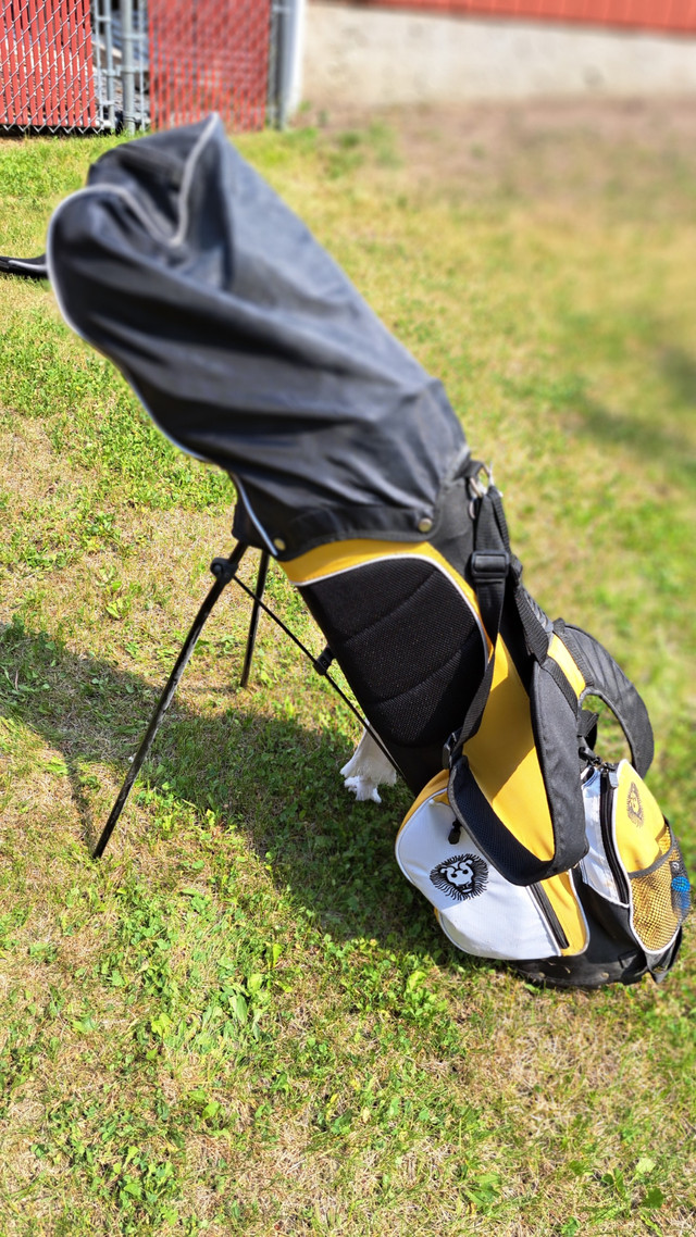 Good quality 11 Club golf set with bag.  Almost new. in Golf in Edmonton - Image 3