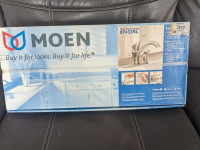 New MOEN Kitchen Faucet