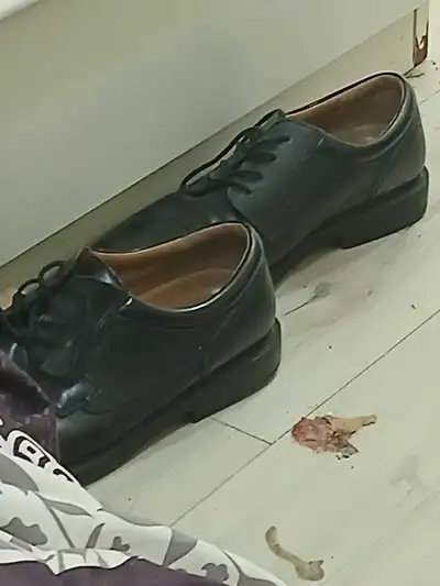 MENS NICE DRESS  SHOES, View more