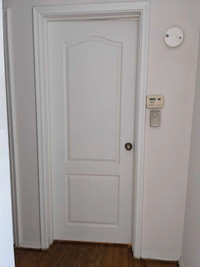 Door - normal zixe and narrow