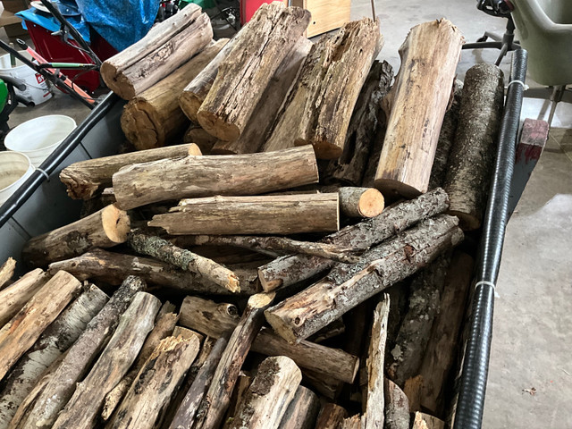 Dry mixed camp firewood reasonably priced includes3 bundles of k in Other in Bedford - Image 3