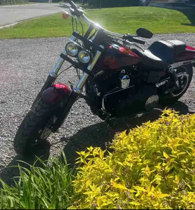 Fat bob 2016 9800km État A-1 Un seul propriétaire