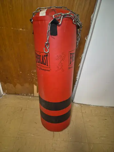 Everlast punching bag, View more