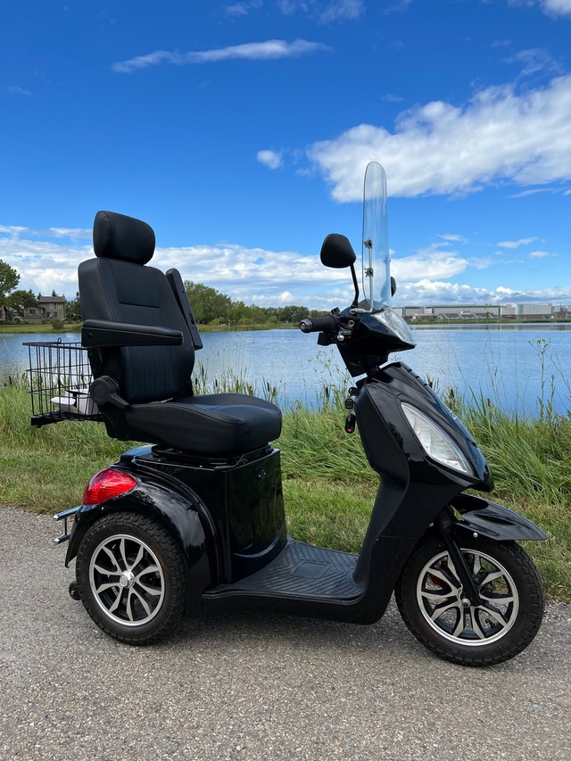 Daymak Rickshaw King Mobility Scooter Health & Special Needs