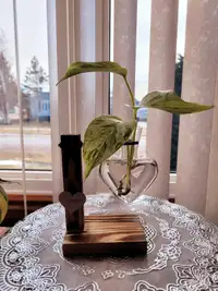 Glass Plant Terrarium with Wooden Stand