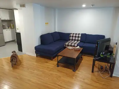 Très grand 6 ½ Au cœur de Rosemont; Parfait pour etudiants ou grande famille! Situé au demi sous-sol...