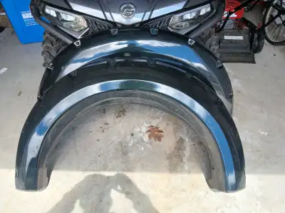 Set of 4. Came off a 2014 F150. They were painted green gem but have some pin head sized bumps on so...