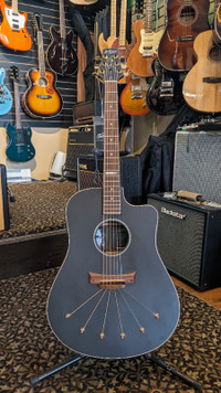 Babicz Steven Wilson Signature Acoustic Electric Guitar