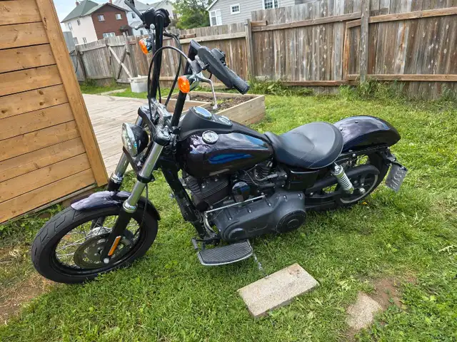 street Bob in Street, Cruisers & Choppers in Winnipeg - Image 4