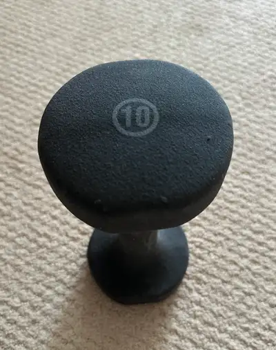 10 lb Dumbbell, View more