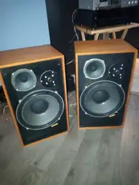 Wharfedale Dovedale 3 vintage speakers in great shape
