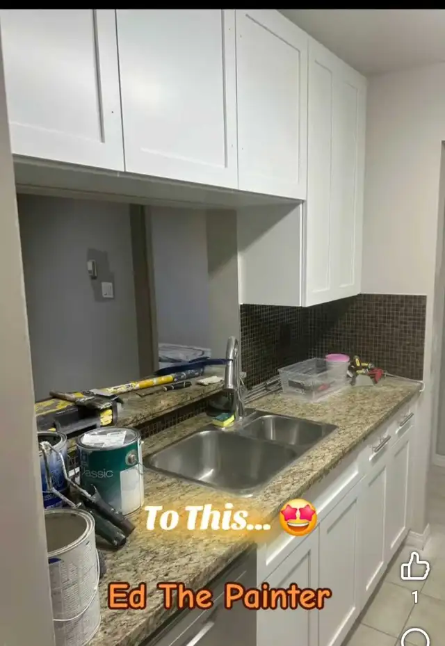 Ed The Painter475927864243671044