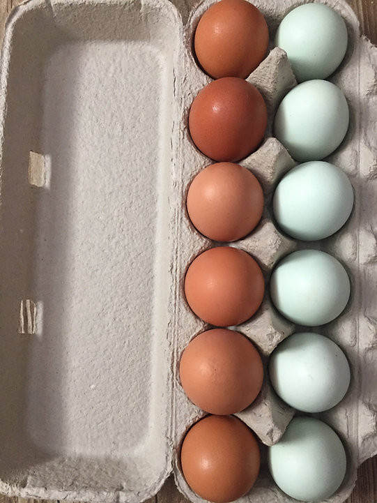 Farm Fresh Eggs in Other in Kitchener / Waterloo