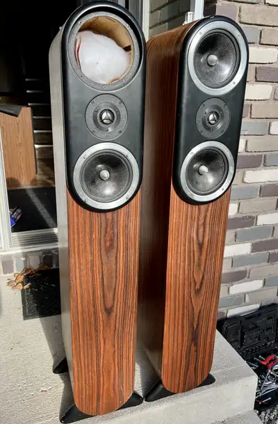 TESLA Scientific speakers rare  built quality is impressive, View more