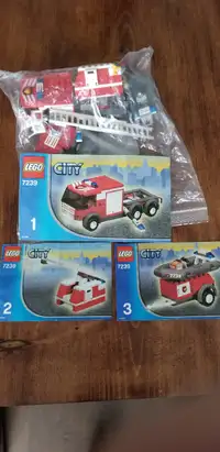 Vintage Lego 7239