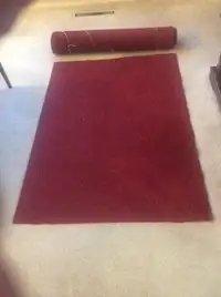 Heavy Duty Large Outdoor Indoor Carpet