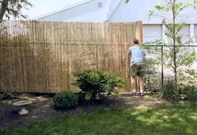 Bamboo Reed Rolls-privacy screen/fence, View more