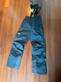 The North Face Summit series, Goretex touring snow pants - 250$