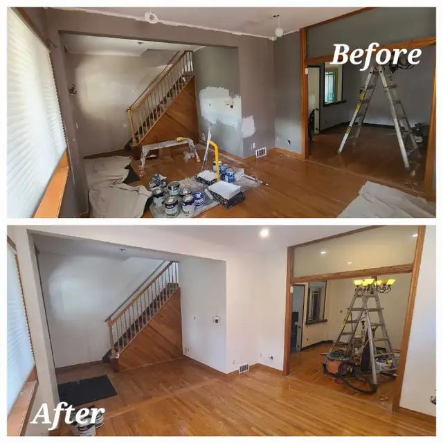 Professional Painter 482653092541911041