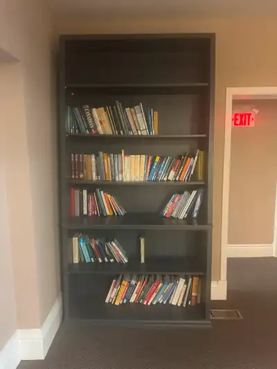 Black shelf/bookcase