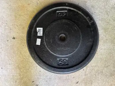 Barbell Standard Free Weight Plates, 1-Inch, 50-Pound, Black, View more