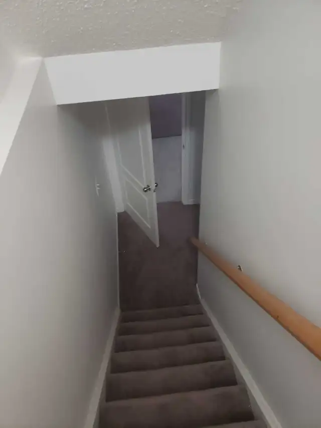 Bachelor Basement Apartment 