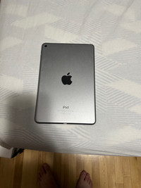 iPad mini 5 wifi 