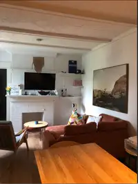 Sublet wanted (June-August)