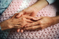Cherish Senior Care provider available