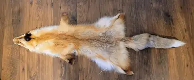 Red Fox Fur, View more