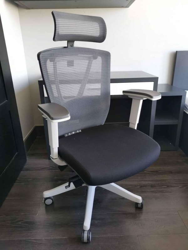 Autonomous ErgoChair Pro Ergonomic Office Chair Like New! Chairs