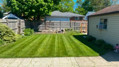 Need Your Lawn Cut? Book Now - 226-280-5719, View more