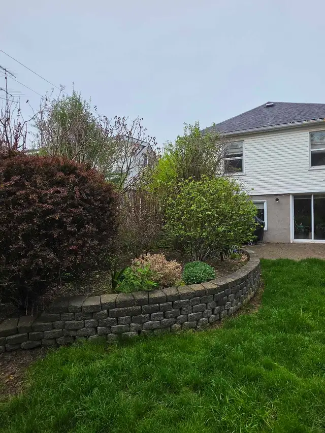 Wanted - Garden Landscape Design Help459814417833011201