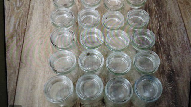 Yogurt jar with lid , 50 cents each , never break in boil water  in Hobbies & Crafts in Calgary - Image 2
