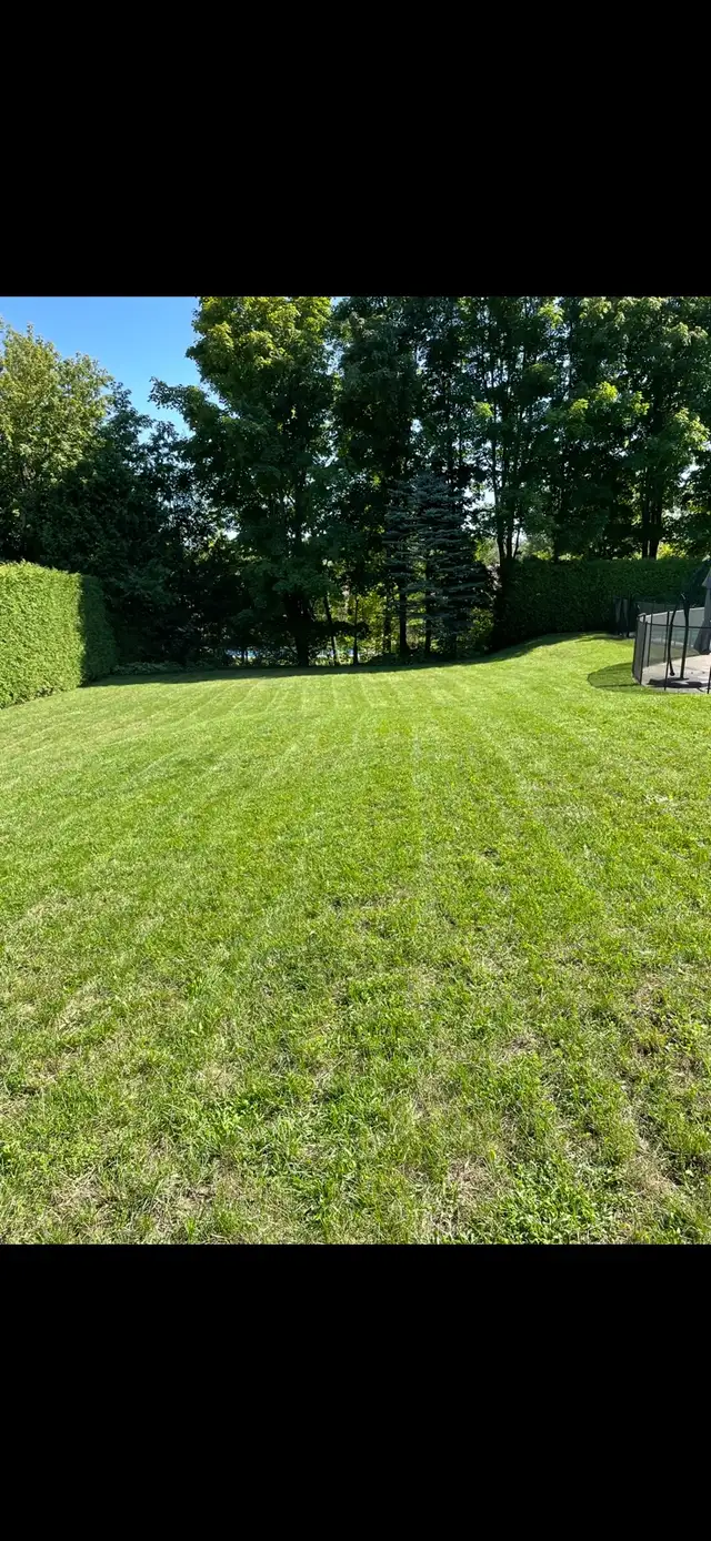 Grass Cutting in Peterborough